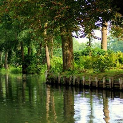 荆门房产信息网截图